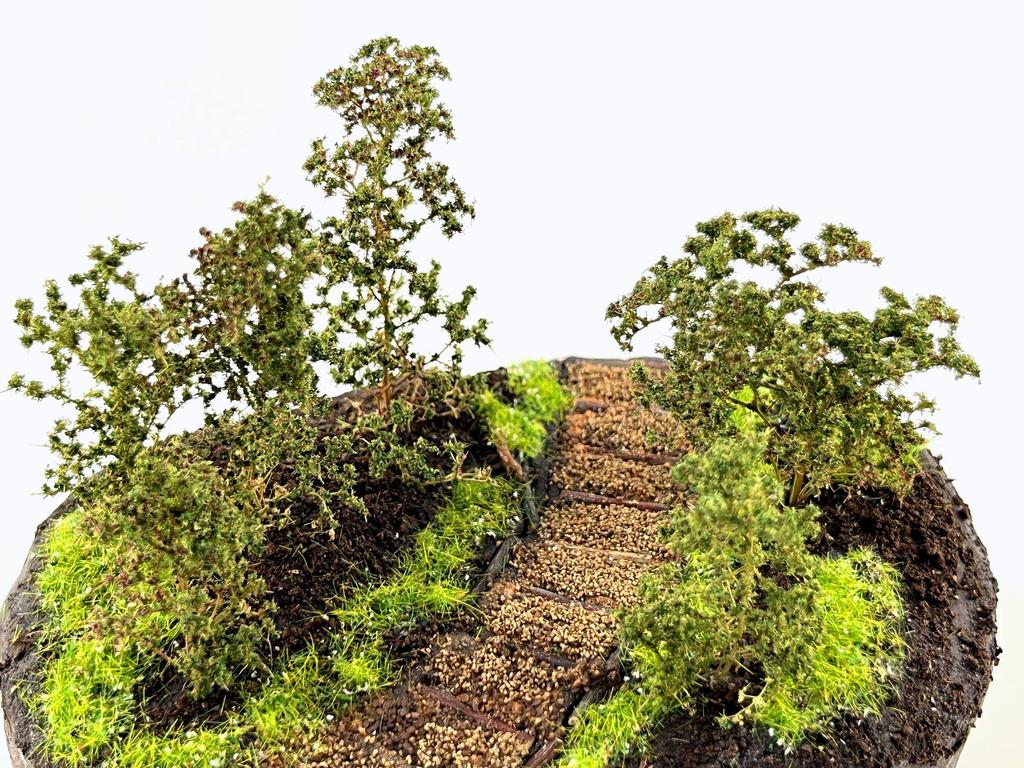 Segawa Modeling DIORAMA ONE Baumspaziergang-Bausatz Grün DO-1007