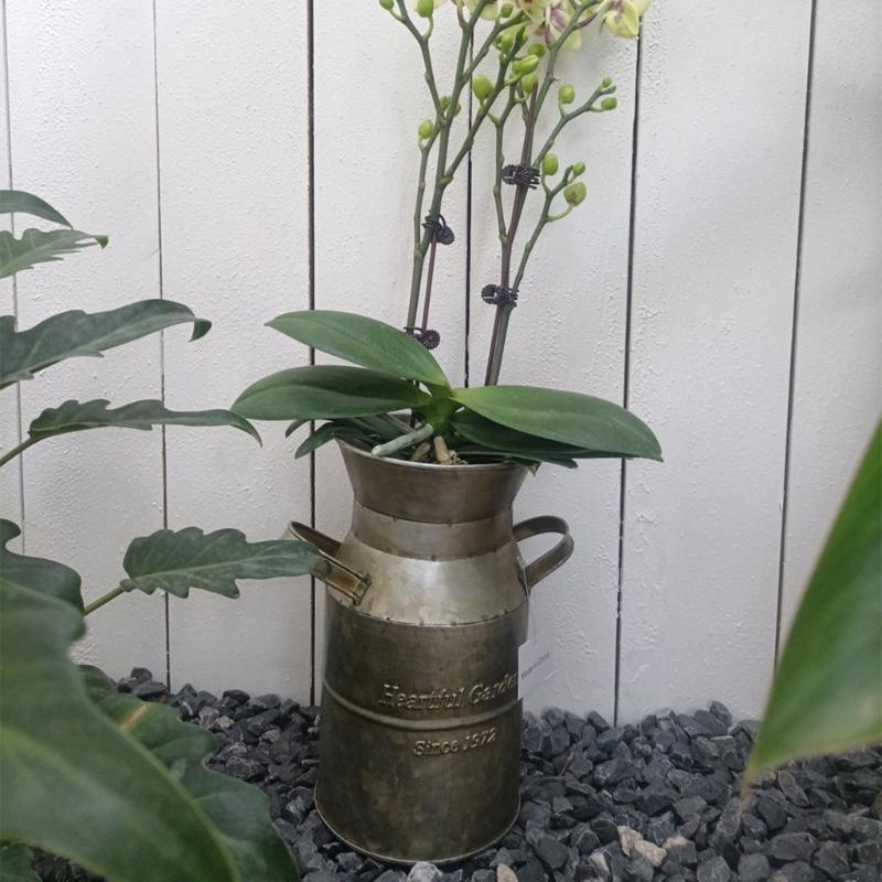 Fransk lantlig stil Antik blomvas Rural bordsdekorationer Inomhus Utomhus Bröllopsfestdekoration Järn Planteringskruka Hink