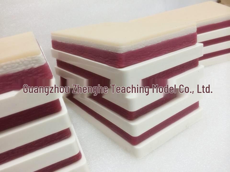 Silicone Surgical Suturing & Acupuncture Practice Skin Model 18 x 125 x 2.5 cm