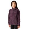Regatta Great Outdoors Childrens/Kids King II Lightweight Full Zip Fleece Jacket