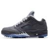 Air Jordan 5 Low Golf 'Wolf Grey' CU4523-005