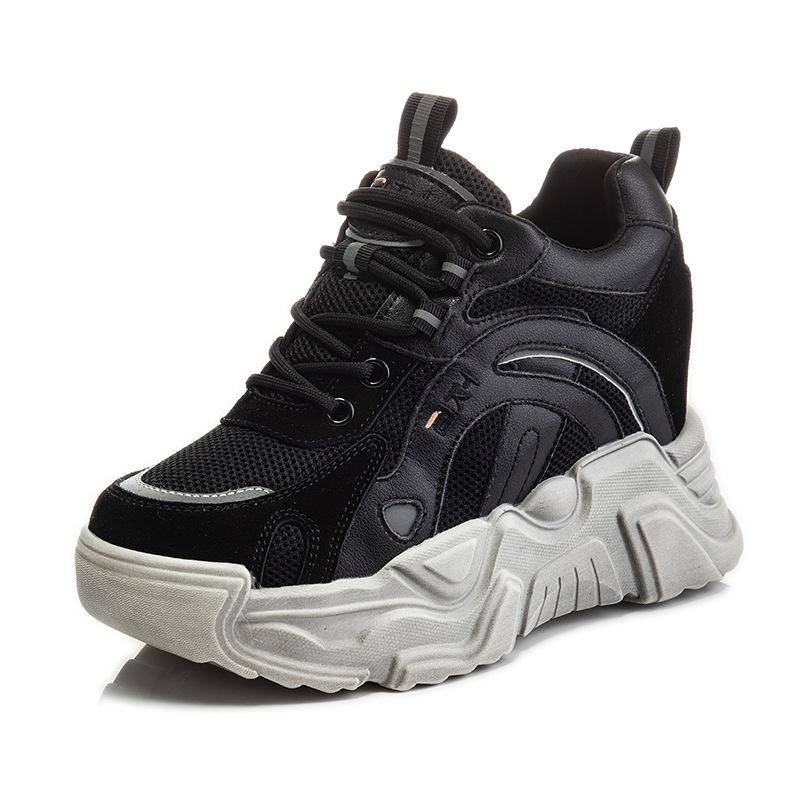 Inner Height Increase Autumn and Winter 1 New Dad Shoes Platform Mesh Small Dirty Shoes Sports and Leisure Shoes