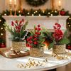Faux Artificial Christmas Plant Woven Basket Mini Potted Plant  Christmas Decor