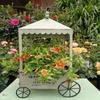 Decorative Garden Flower Cart Planter, Iron Wagon Pot Display with Canopies and Open Storage Tray for Home Patios Courtyards Display