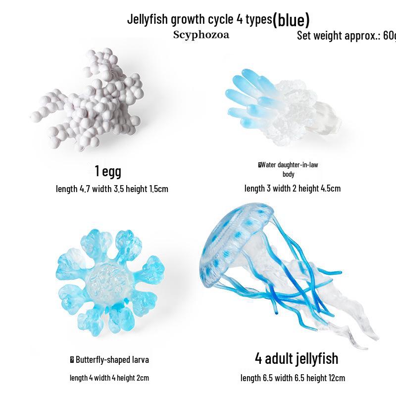 Mini Animal Growth Cycle Toys: Butterfly, Rooster, Ant, Frog, Sea Turtle, Dragonfly