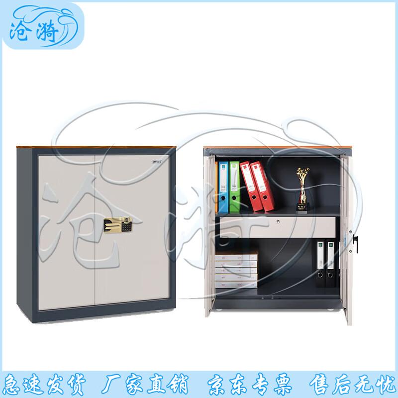 Z158 Fingerprint Lock Steel Security Cabinet