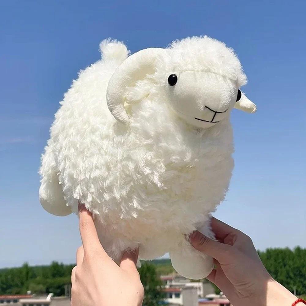 35CM Cartoon Kid Plush Toy Big Kawaii White Sleeping Pillow To Soothe Small Curly Doll To Give Children Birthday Christmas Gift