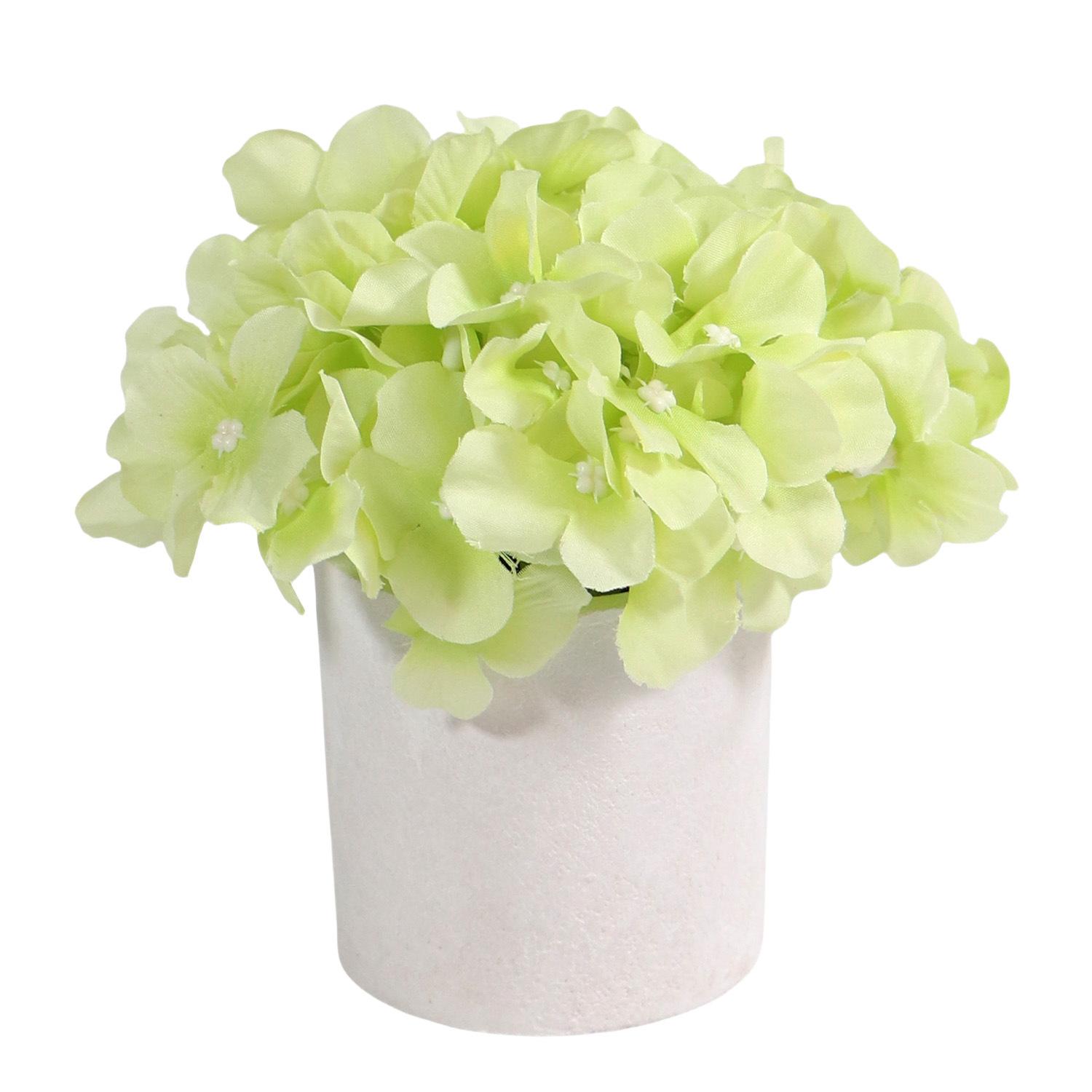 

Моделирование садоводства Горшечные растения Украшение праздничной вечеринки Размещение стола Украшение офиса Внутреннее и наружное украшение светло-зеленый