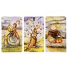 Jeu de société de divination Terre d'Ombre Mystérieuse Cartes de Tarot Édition Complète Anglaise