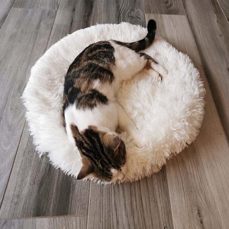 

Круглые коврики для домашних животных Маленькие собаки Питомники Кошачий туалет Коврики для домашних животных Товары