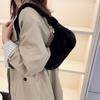 Autumn and Winter Women's Shoulder Underarm Plush Small Bag Women 2025 New Trendy Fashion Internet Celebrity Versatile Mao Mao Hand Bag