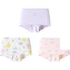Balabala Girls' Cotton Blend Flat-Leg Underwear (3-Pack)