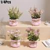 1/4PCS Home Decoration Cute Artificial Plant Scenery Office Decor Simulated Potted Plants Party Mini Artistic 13cm