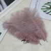 Colored Ostrich Feathers 30-35Cm Stage Performance Wedding Bouquet Decoration Ostrich Feathers