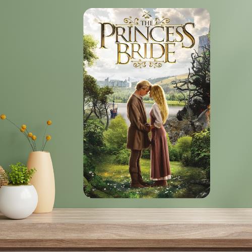 The Princess Bride Metal Movie Poster Sign 20x30cm（7.8x11.8inch）