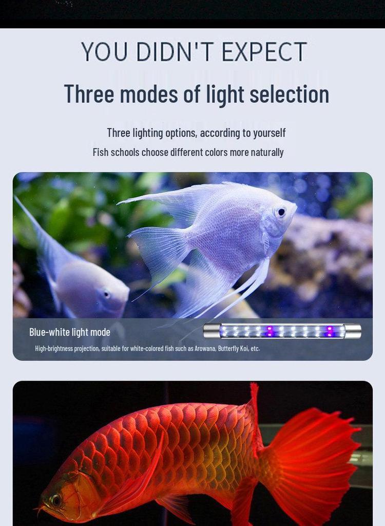 LED Fish Tank Light: Waterproof, Super Bright, Submersible Aquarium Light for Arowana.