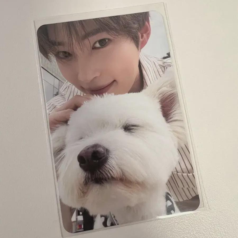 

Зеробейзон) Регулярный том. 1 Диджипак Группа Лео Хан Бинфока