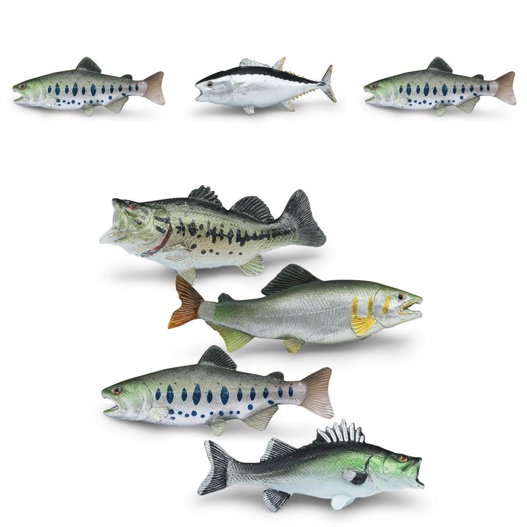 Realistisches Ozeanfisch-Modellset aus Kunststoff für Aquarienliebhaber und Bildungsdisplays