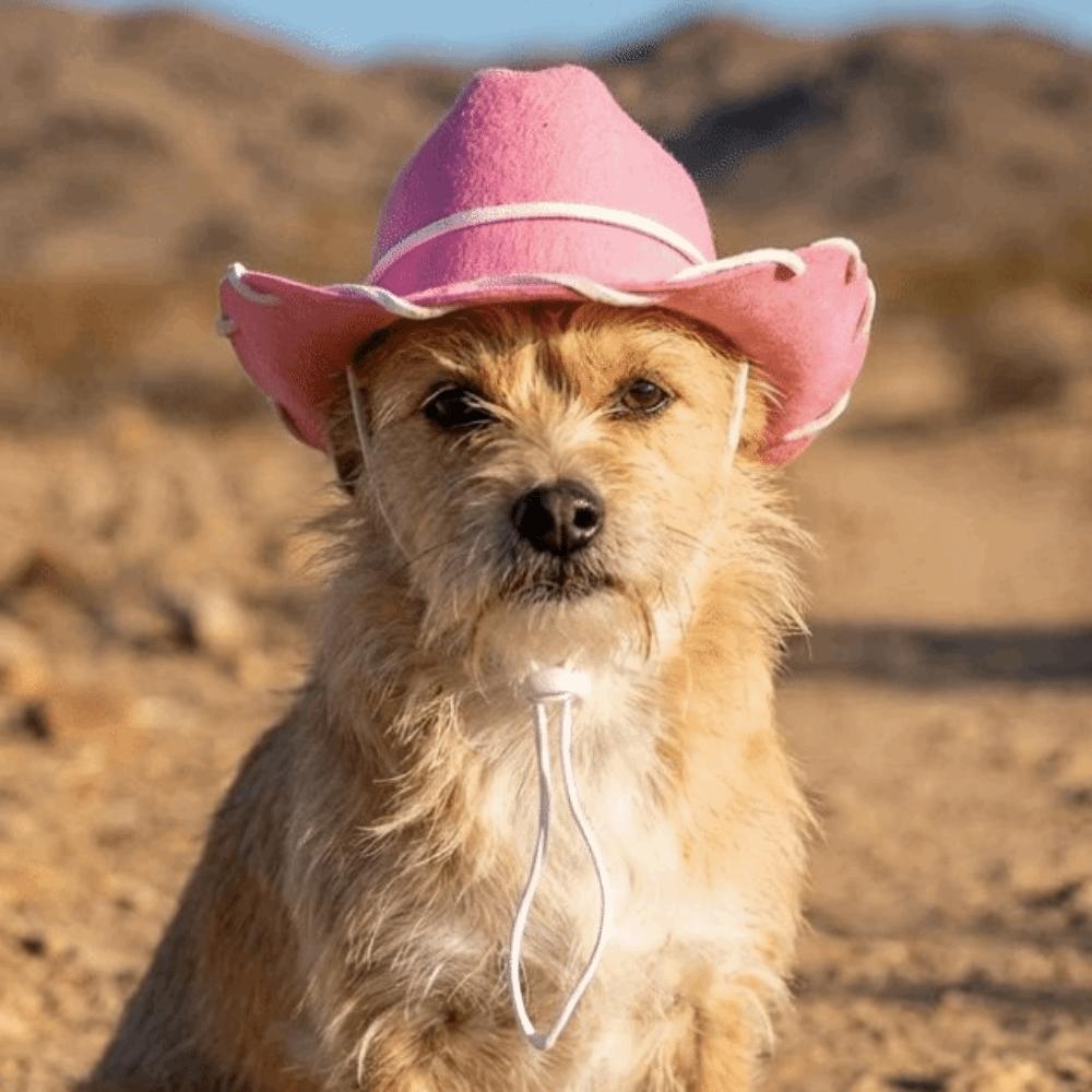 Breathable Pet Dog Sun Hat Handmade Stitched Dog Visor Cat Funny Cat Sunscreen Hat  Travel Use