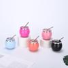 with Straw and Lid Portable Egg Cup Double Wall Tumbler Cup Argentine Yerba Mate Cup  Office