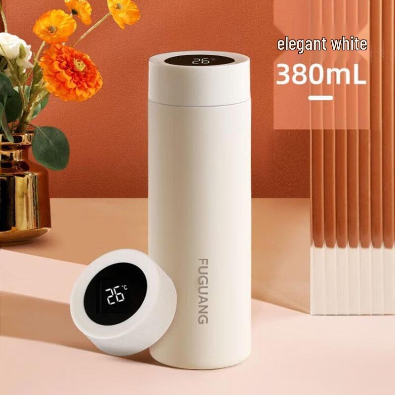 Fuguang Smart Stainless Steel Insulated Tea Bottle