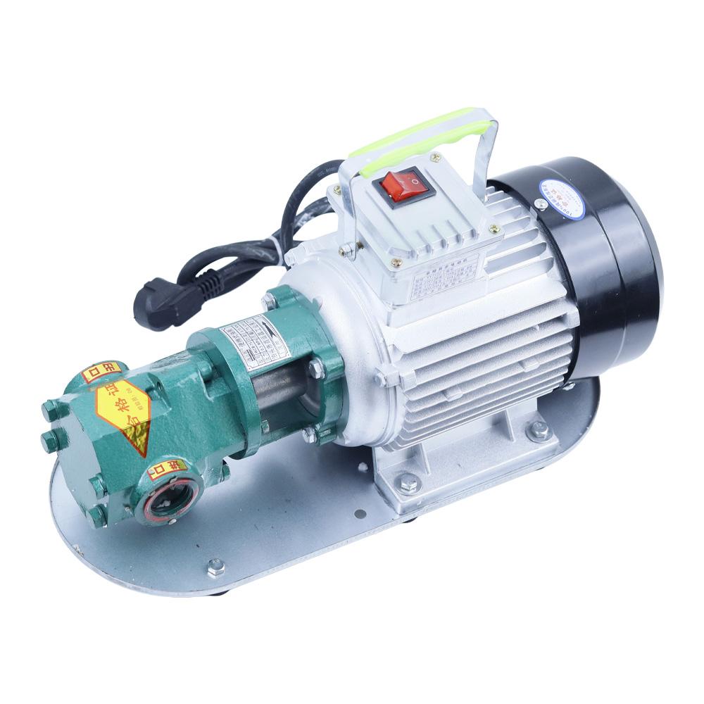 WCB-75 Self-Priming Gear Oil Pump Portable Cast Iron High Temperature Electric Gear Pump 750W Small High Viscosity Oil Pump 220V