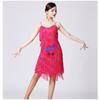 Latin Dance Sequin Tassel Dress Stage Performance Competition Party Gown Women