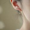 925 Silver Needle Crystal Zircon Golden Round Earrings Geometric Flower Rhinestones Hoop Classic Earrings Jewelry Party Gifts