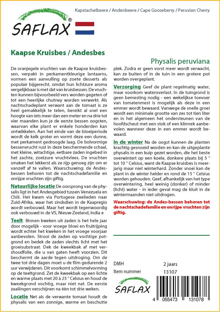 SAFLAX Cape Gooseberry / Peruvian Cherry - 100 Seeds - Physalis Peruviana