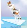 Skating Cat Gashapon Toys Grey Orange Calico Creative Lovely Figure Model Decoration Ornaments Cat Toys