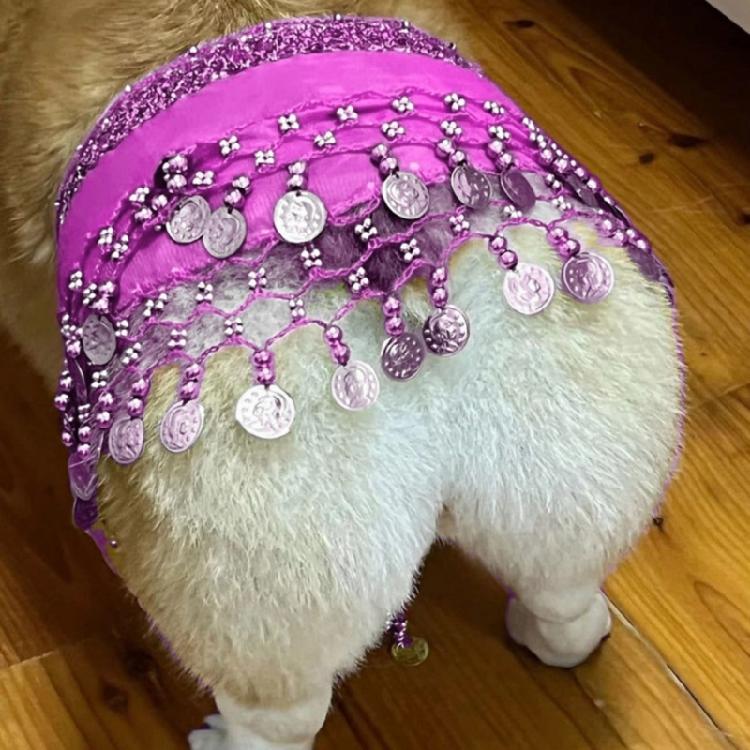 Glittering Corgy Party Belly Dance Skirt Sparkling Sequined Belly Dancing Costume Adjustable Belly Dance Dog Costume