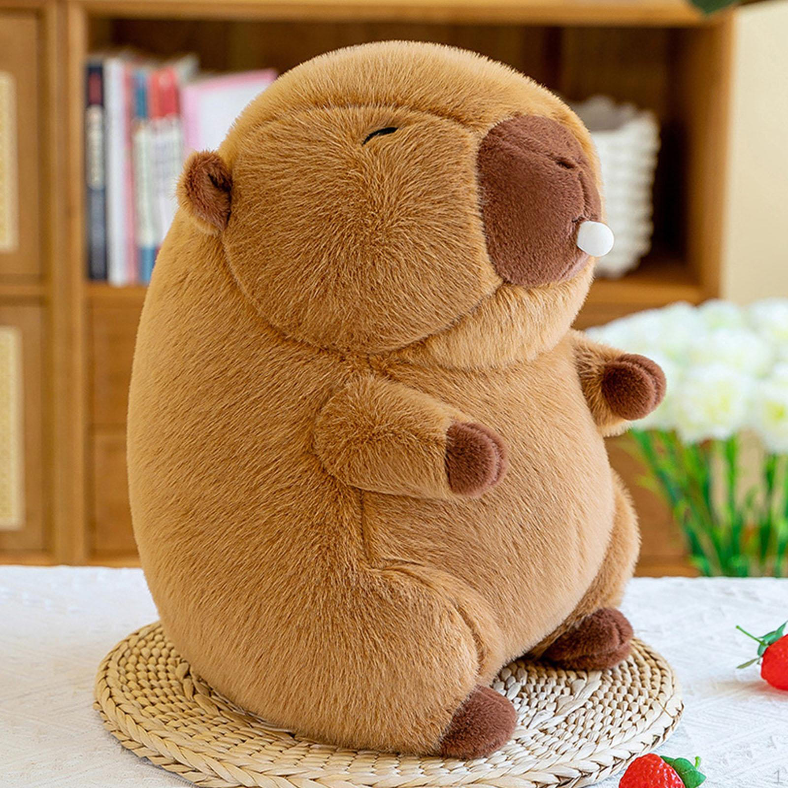 

Bubble Capybara Plus Игрушка Фаршированная детская комната Декор Обнимающая плюшевая кукла для подростков 35cm