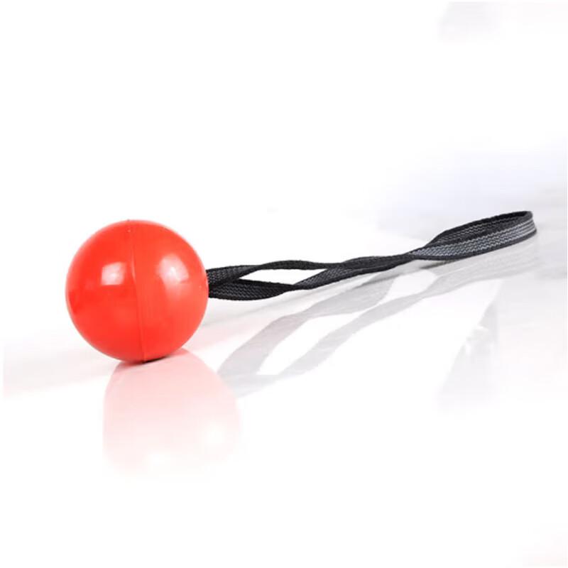 Durable Dog Training and Play Balls