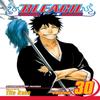 Bleach Vol. 30 by Tite Kubo Paperback Book 9781421523880