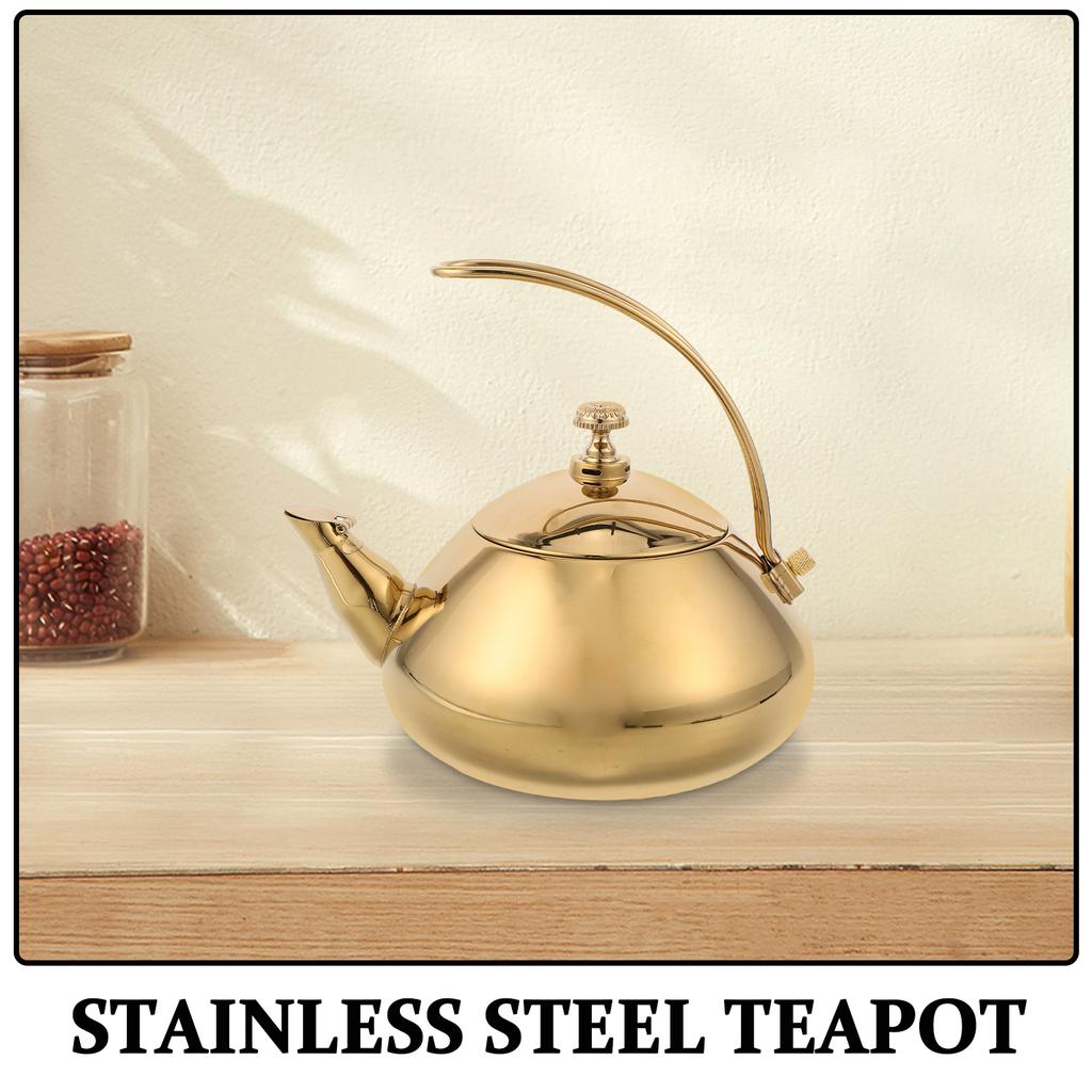 Stainless Steel Tea Kettle 1.5L Ergonomic Handle Induction Compatible Fine Mesh Filter Teapot for Loose Leaf Tea Home Office