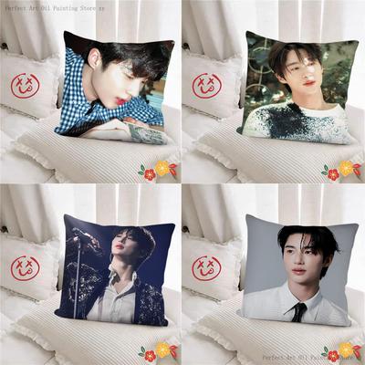 Byeon Woo-seok Korea Pillow Case Fashion Square Pillowcase Bedroom Sofa Room Ins Decoration Leisure Cushion