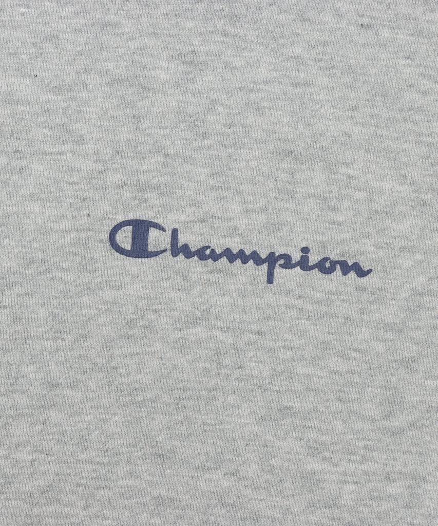 Champion Basic Long Sleeve Cotton Hoodie with USA Script Oxford Men's Logo, Gray, C3-Y119