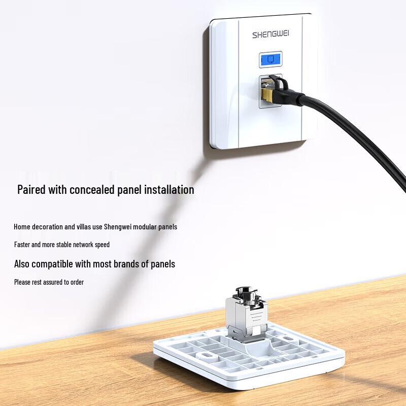 Shengwei WNDF6001 Cat6 RJ45 Geschirmtes Netzwerkmodul
