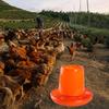 Automatic Chicken Feeder Food Feeding Bucket Garden Chicks Lawn with Carry Handle Container
