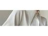 Women's High-End Satin Shirt with French Pointed Collar - Long Sleeve, Stylish Spring/Autumn Top