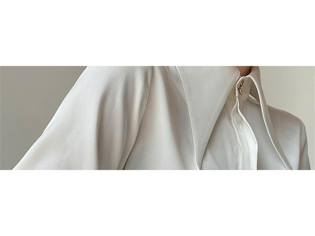Women's High-End Satin Shirt with French Pointed Collar - Long Sleeve, Stylish Spring/Autumn Top