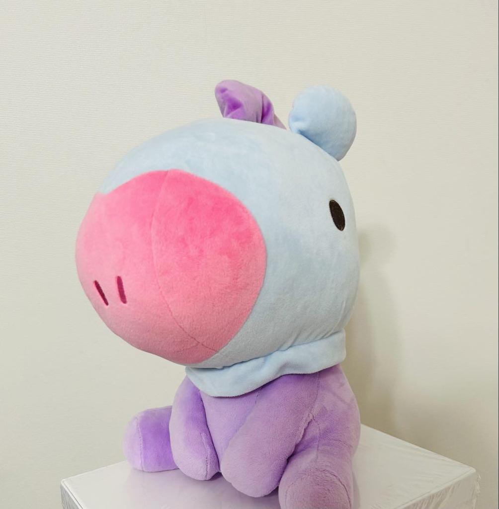[USED] BTS J-Hope Plush Toy