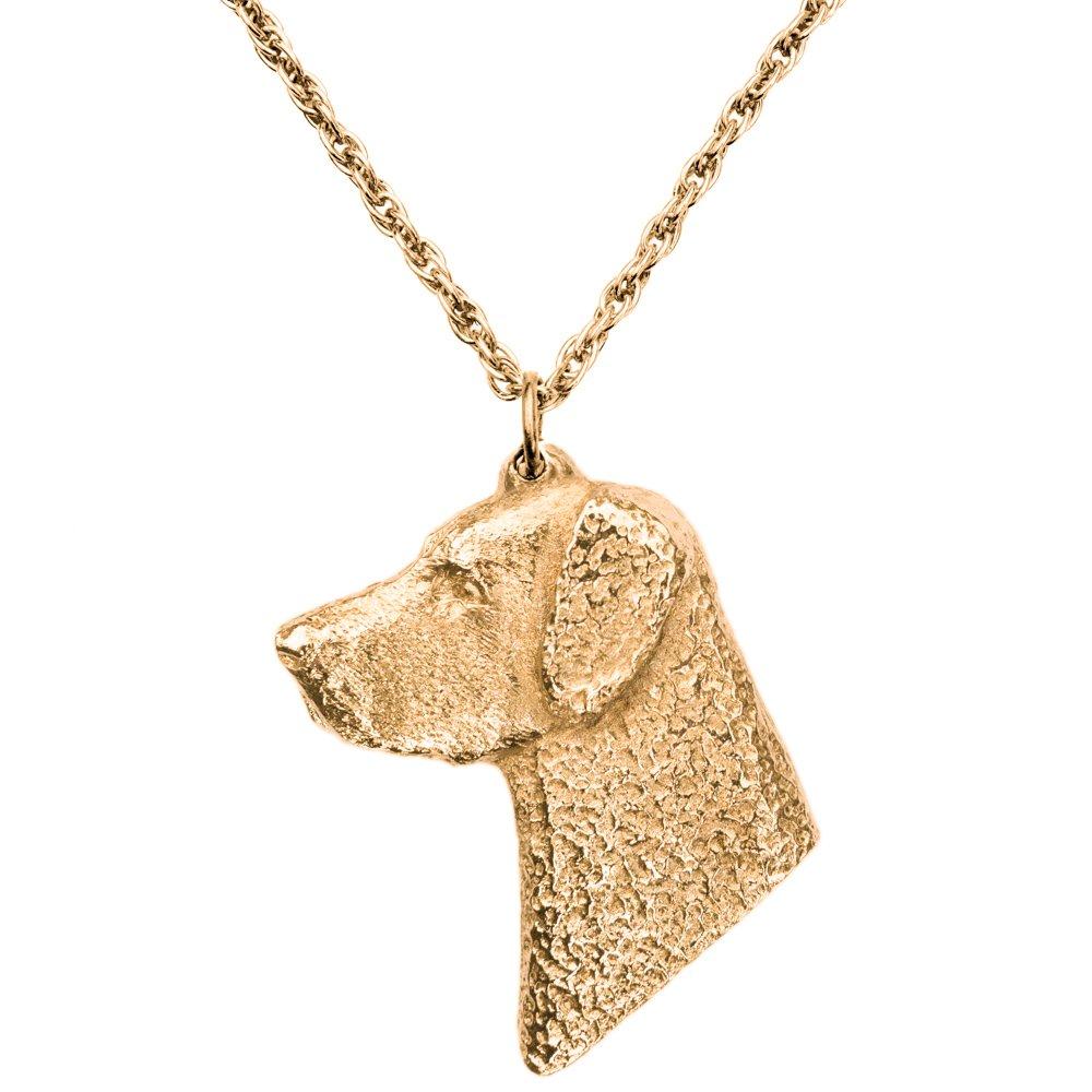 Курчавошерстный ретривер (Глава) - Коллекция кулонов-ожерелий Art Dog, изготовленных в Великобритании