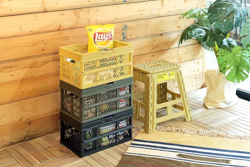 Azumaya-kk Touch Box LFS-31BK, Black, 38cm Wide X 26cm Deep X 20cm High