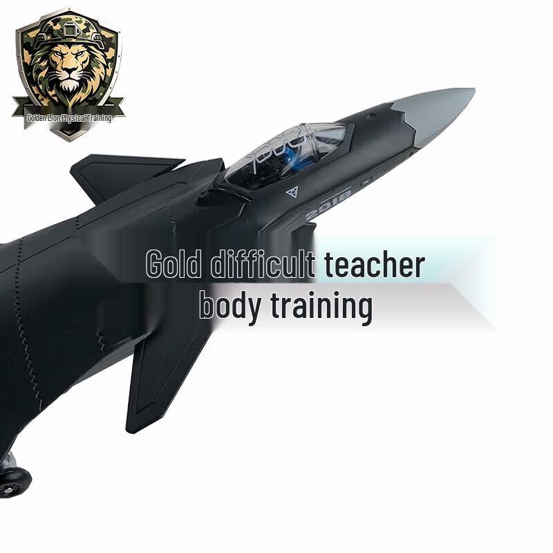 Golden Lion J-20 Fighter Jet Alloy Model