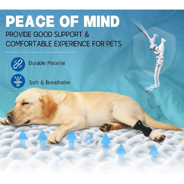 Supet Dog Leg Brace for Back Leg - Hock & Ankle Joint Support for Rear Legs with 2 Metal Springs, Anti-Slip Design & Reflective Trim for Sprain,