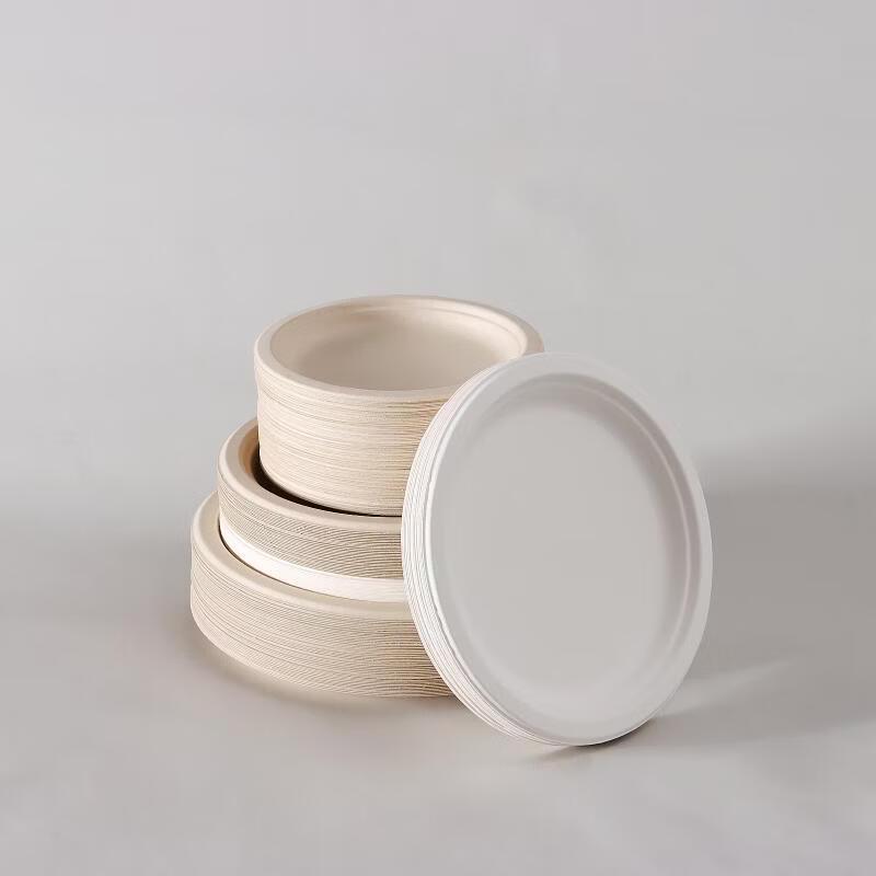 Disposable Thickened Paper Dinner Plates