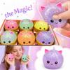 Toy Stress Toy for Kids and Adults