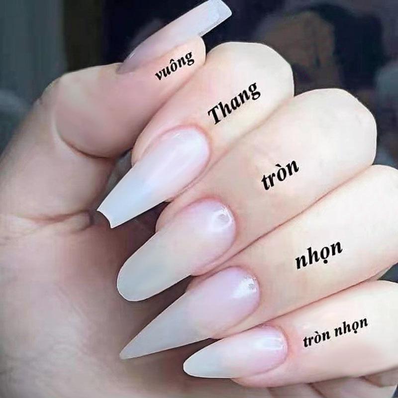 

500-Piece Transparent Ballerina Nail Tips Set - Natural Color, Full Cover