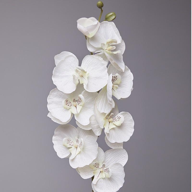 8Heads Butterfly Orchid Artificial Flower Non-woven Fabric Imitation Flower European Style Phalaenopsis Table Flower Hom